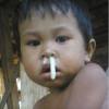 Grocok
