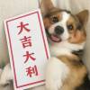羽璇