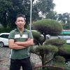 Dani Pangerane Simbang
