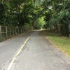 กฤติยา