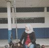 Evi