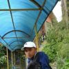 Reen