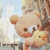Lily Fong