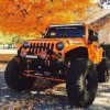 biyyu Wrangler