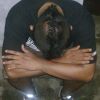 Alsa Valent