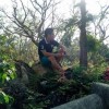 အခ်စ္ေမွာ္ဝင္နတ္ေဆးဆရာ က်ဴးပစ္