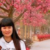 芬