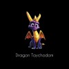 Dragon Taychodom