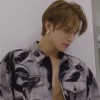 ผืนป่า