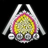小楊