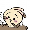 him