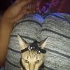 Achmad