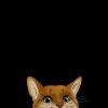 Ghozy Faiq