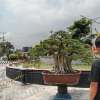 Kabuul Saputra