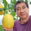 ming sutrisno