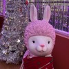 Christy