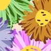 hnn