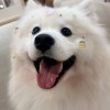 KWOK