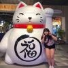 社會你小玉