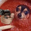 gumboiye