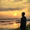 Noviar