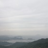 henrytsui