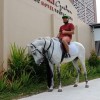 hafid