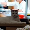 Pichranan Thongjun