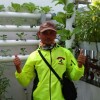 purwoko