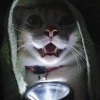mr paan