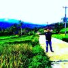 Billian Altha