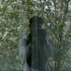iam