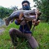 Muhd Fuad