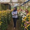 Arini Yuniarty