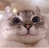 Someone