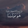 ussty_