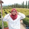 Lisliana