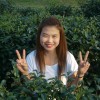 แอน นี่