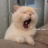 ビュウ