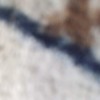 What The Carpet