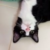 เมี๊ยว😽