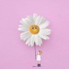 🌼