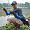 betawijadul