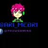 Ari Mebri