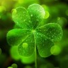 luckyforme