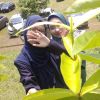 Nurzulika52