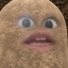Ji