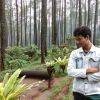 Dino Drajat