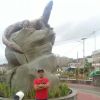 D'Fernandes Rayen