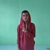 Salman Alfarizi Al